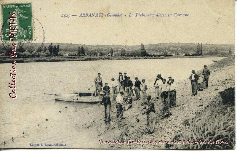 Pêcheurs d'aloses à Arbanats